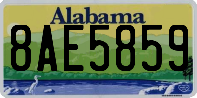 AL license plate 8AE5859