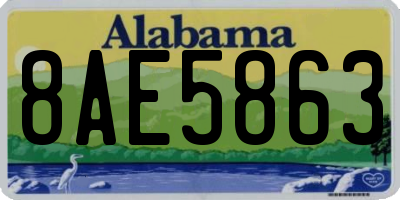 AL license plate 8AE5863
