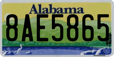 AL license plate 8AE5865