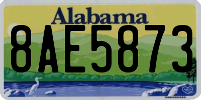 AL license plate 8AE5873