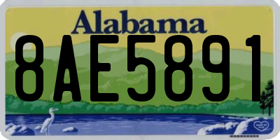 AL license plate 8AE5891