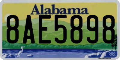 AL license plate 8AE5898