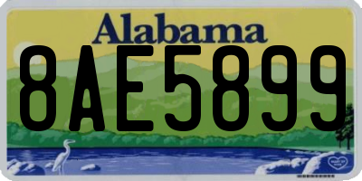 AL license plate 8AE5899