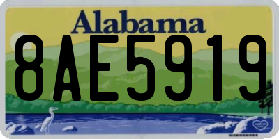 AL license plate 8AE5919
