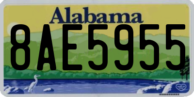 AL license plate 8AE5955