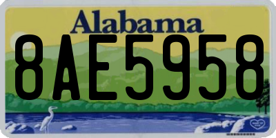 AL license plate 8AE5958