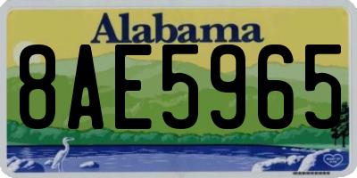 AL license plate 8AE5965
