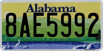 AL license plate 8AE5992