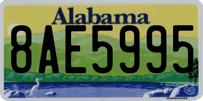 AL license plate 8AE5995