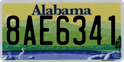 AL license plate 8AE6341