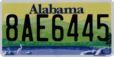 AL license plate 8AE6445