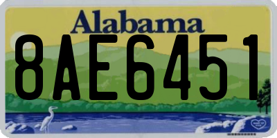 AL license plate 8AE6451
