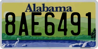 AL license plate 8AE6491
