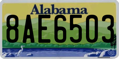 AL license plate 8AE6503