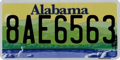 AL license plate 8AE6563