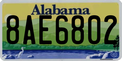 AL license plate 8AE6802