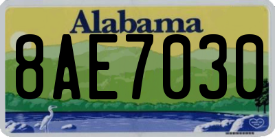 AL license plate 8AE7030