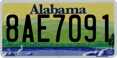 AL license plate 8AE7091