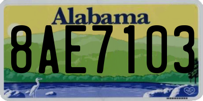 AL license plate 8AE7103