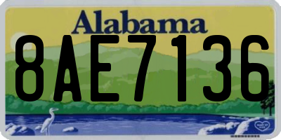 AL license plate 8AE7136