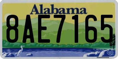 AL license plate 8AE7165