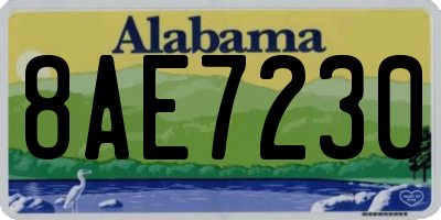 AL license plate 8AE7230