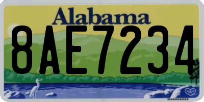 AL license plate 8AE7234