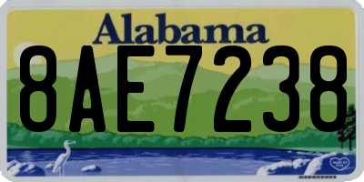 AL license plate 8AE7238