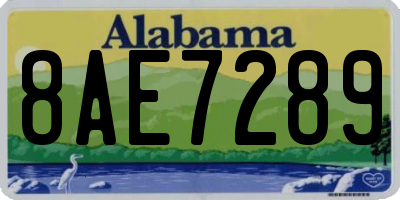 AL license plate 8AE7289