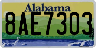 AL license plate 8AE7303