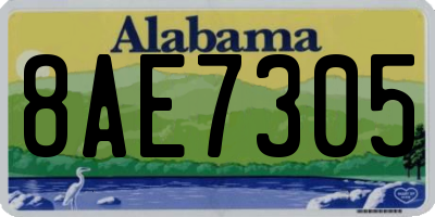 AL license plate 8AE7305