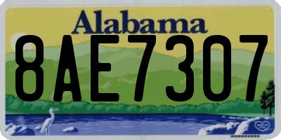 AL license plate 8AE7307