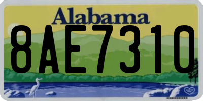 AL license plate 8AE7310