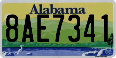 AL license plate 8AE7341