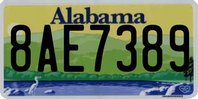 AL license plate 8AE7389