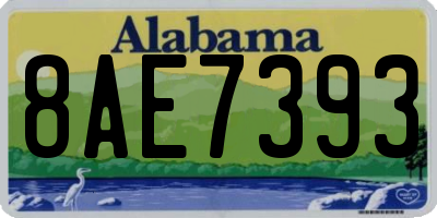 AL license plate 8AE7393