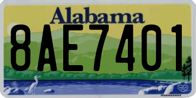 AL license plate 8AE7401