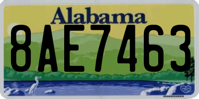 AL license plate 8AE7463