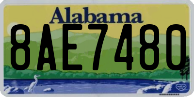 AL license plate 8AE7480