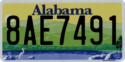 AL license plate 8AE7491