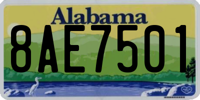 AL license plate 8AE7501