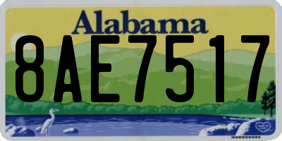 AL license plate 8AE7517