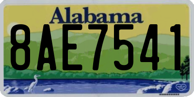 AL license plate 8AE7541