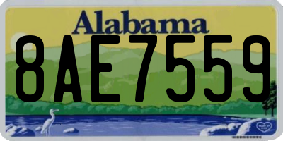 AL license plate 8AE7559