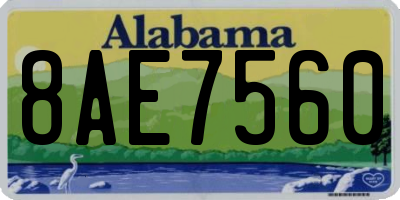 AL license plate 8AE7560