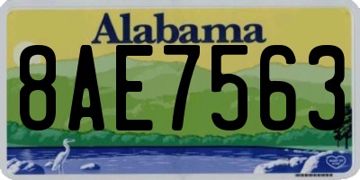 AL license plate 8AE7563