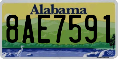 AL license plate 8AE7591