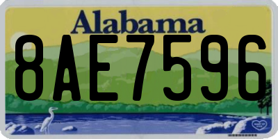 AL license plate 8AE7596