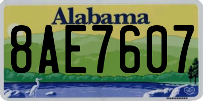AL license plate 8AE7607
