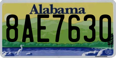AL license plate 8AE7630
